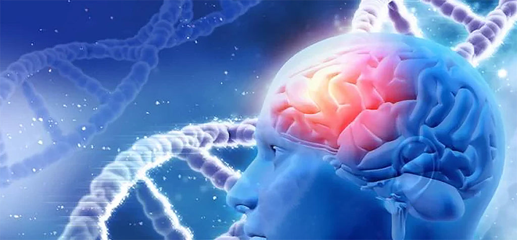 What Is 40 Hz Light Therapy? Exploring Its Link to Alzheimer’s Disease